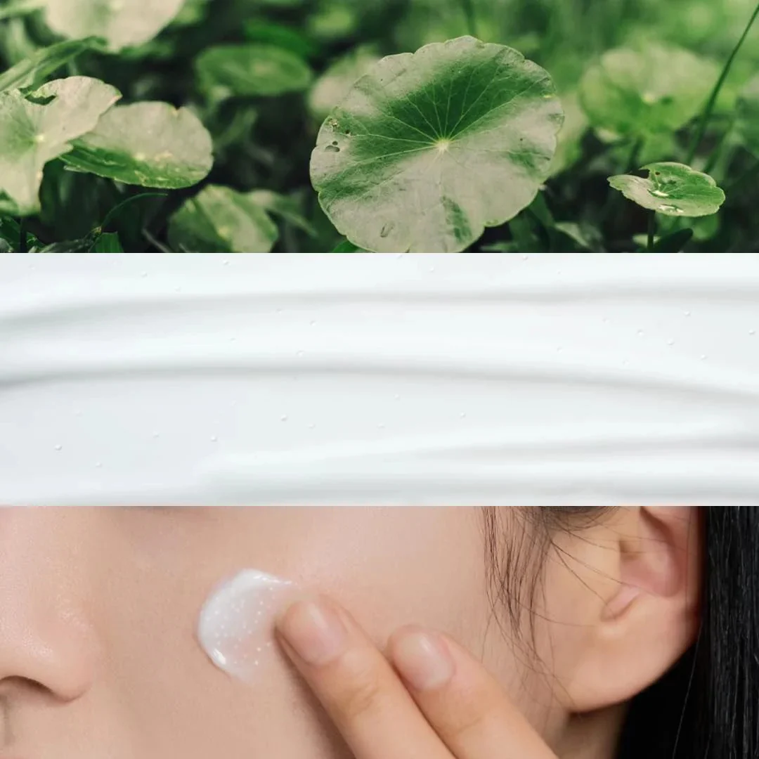 SKIN1004 - MADAGASCAR CENTELLA TONE BRIGHTENING CAPSULE CREAM - 75ml - Image 7